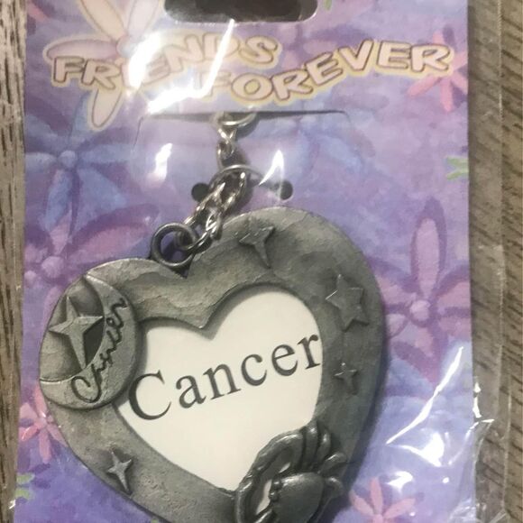 Cancer Zodiac Crab Moon Metal Keychain Frame - Picture 1 of 2
